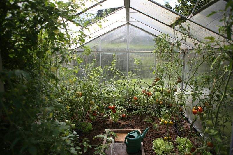 Cómo preparar tu jardín para la primavera
