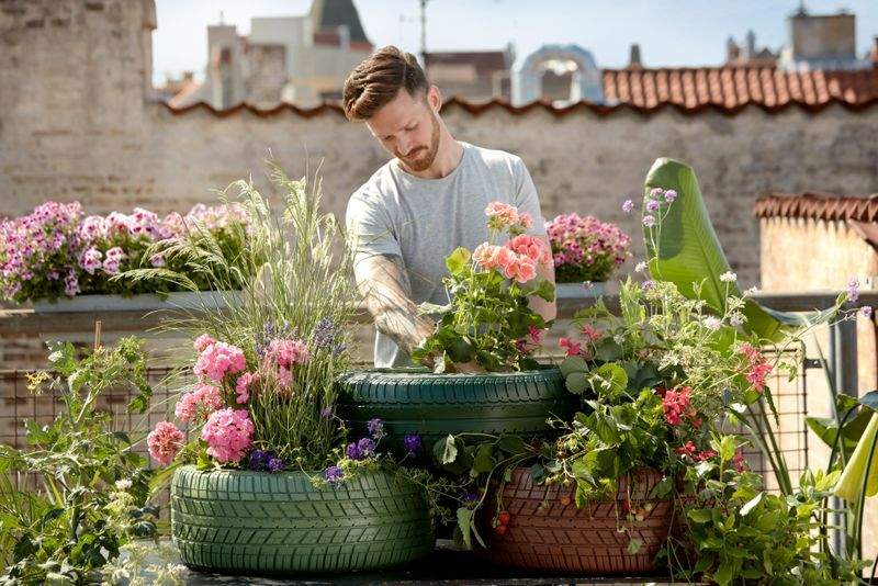 Plantas resistentes para jardines con poco mantenimiento