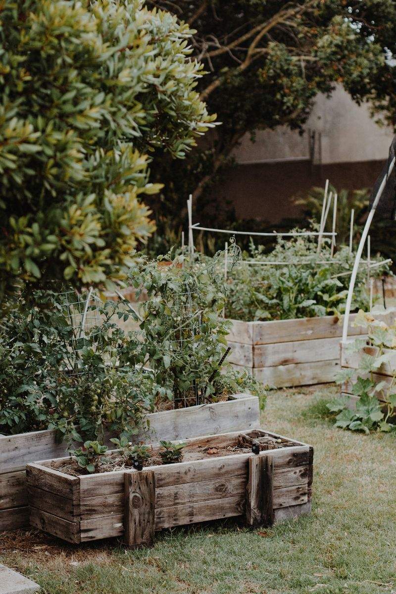 Ideas para mejorar el diseño de tu jardín exterior