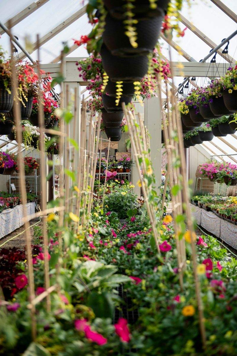 Mantenimiento de jardines