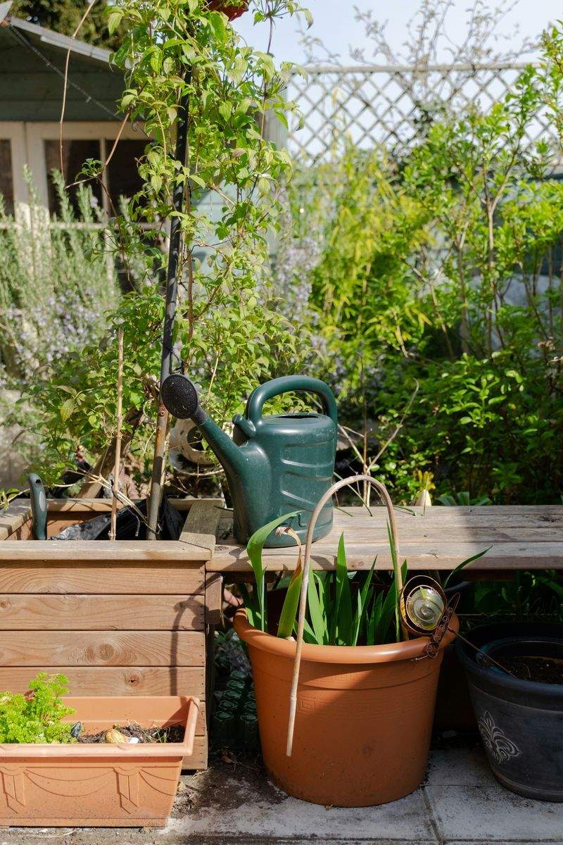 Control de plagas y enfermedades vegetales